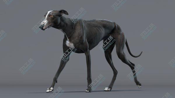 images/goods_img/20210312/Greyhound 3 Animated model/5.jpg